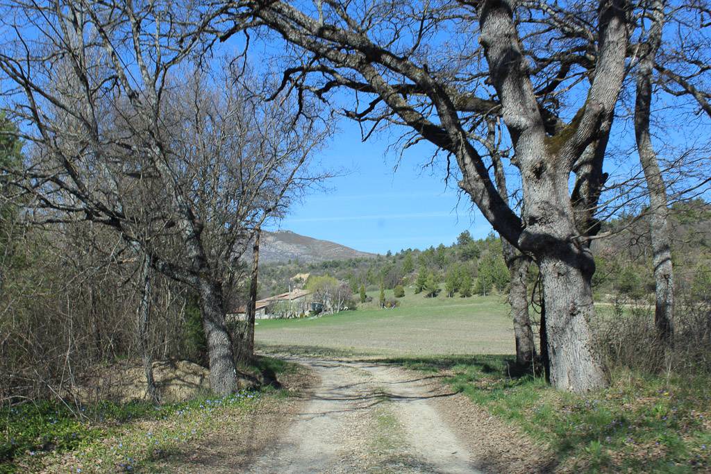 Photo of Others in Digne-les-Bains