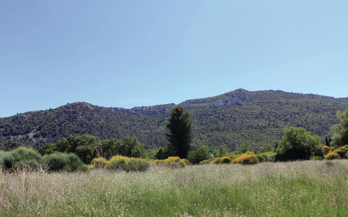Photo of Others in Gemenos