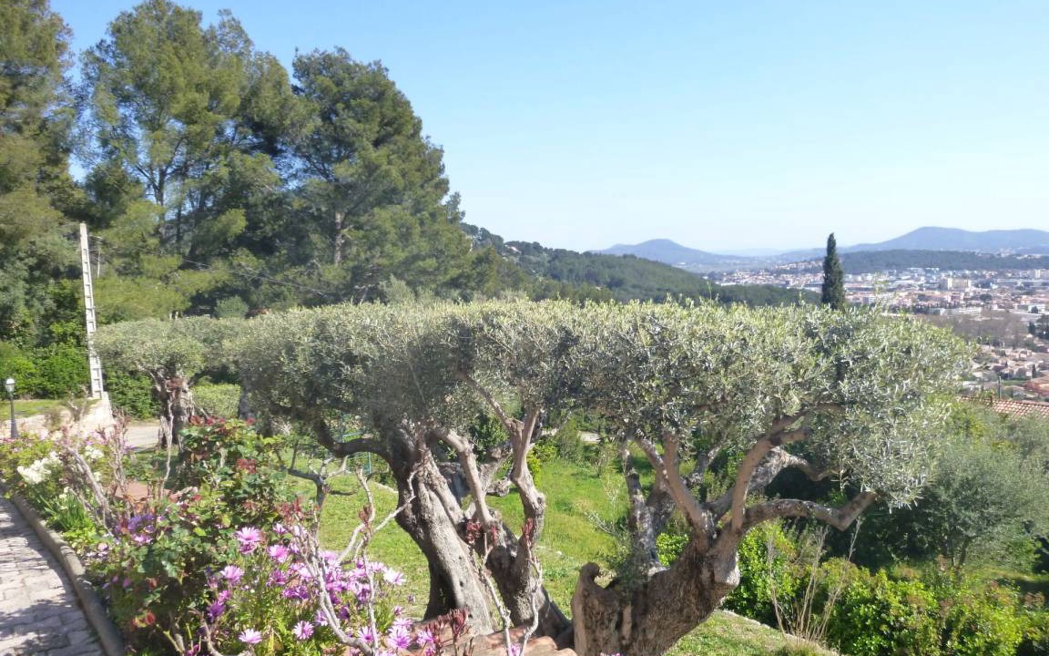 Photo of Others in La Valette-du-Var