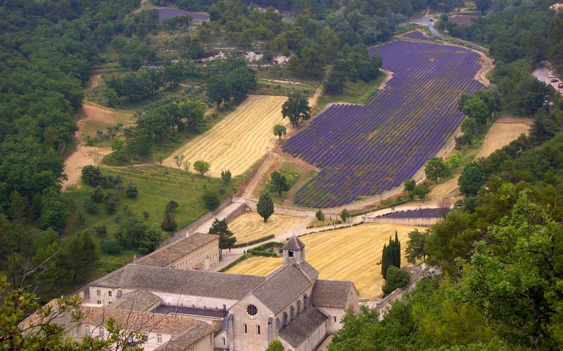Photo of Others in Saint-Martin-de-Castillon