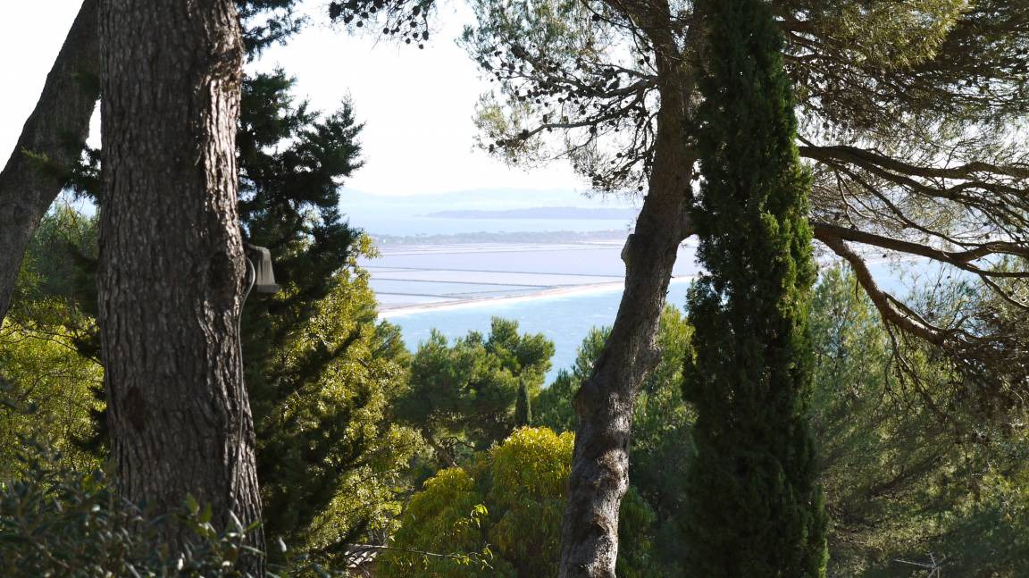 Photo of Others in Hyeres