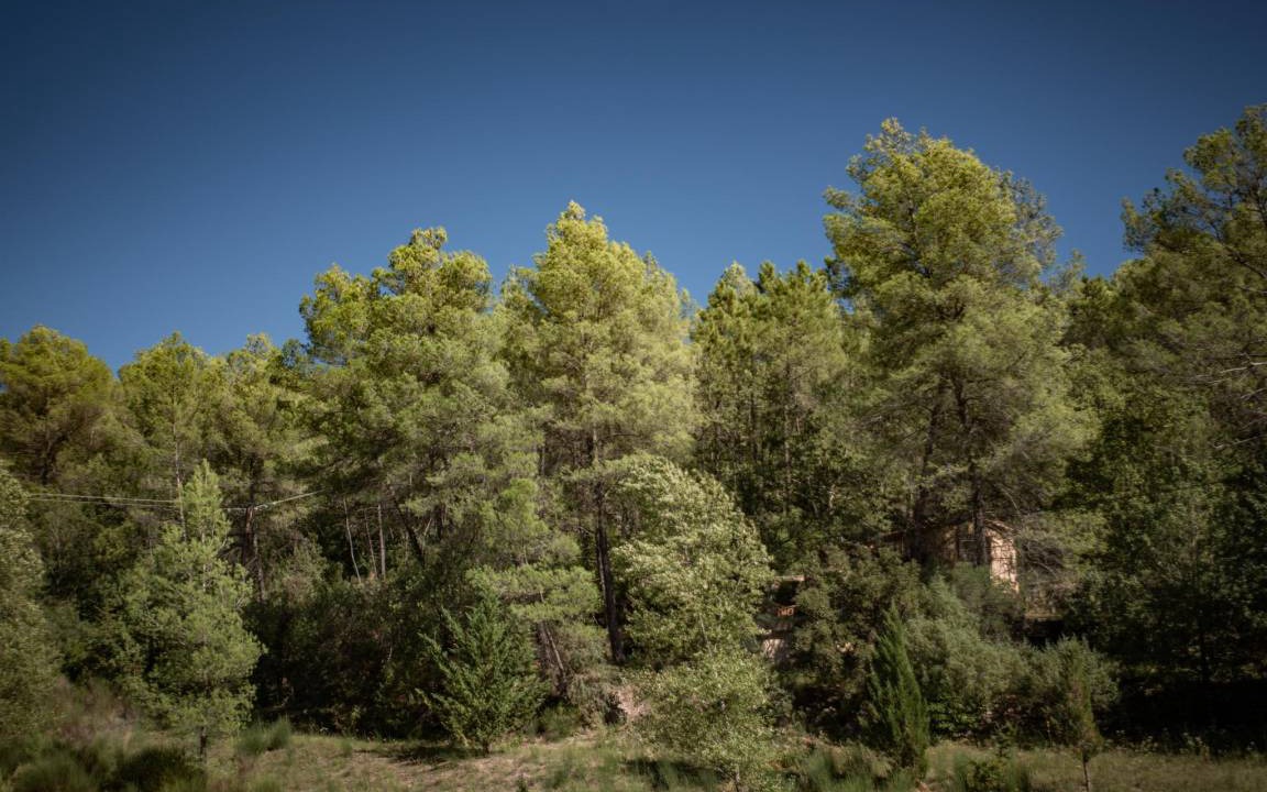 Photo of Others in Barjols