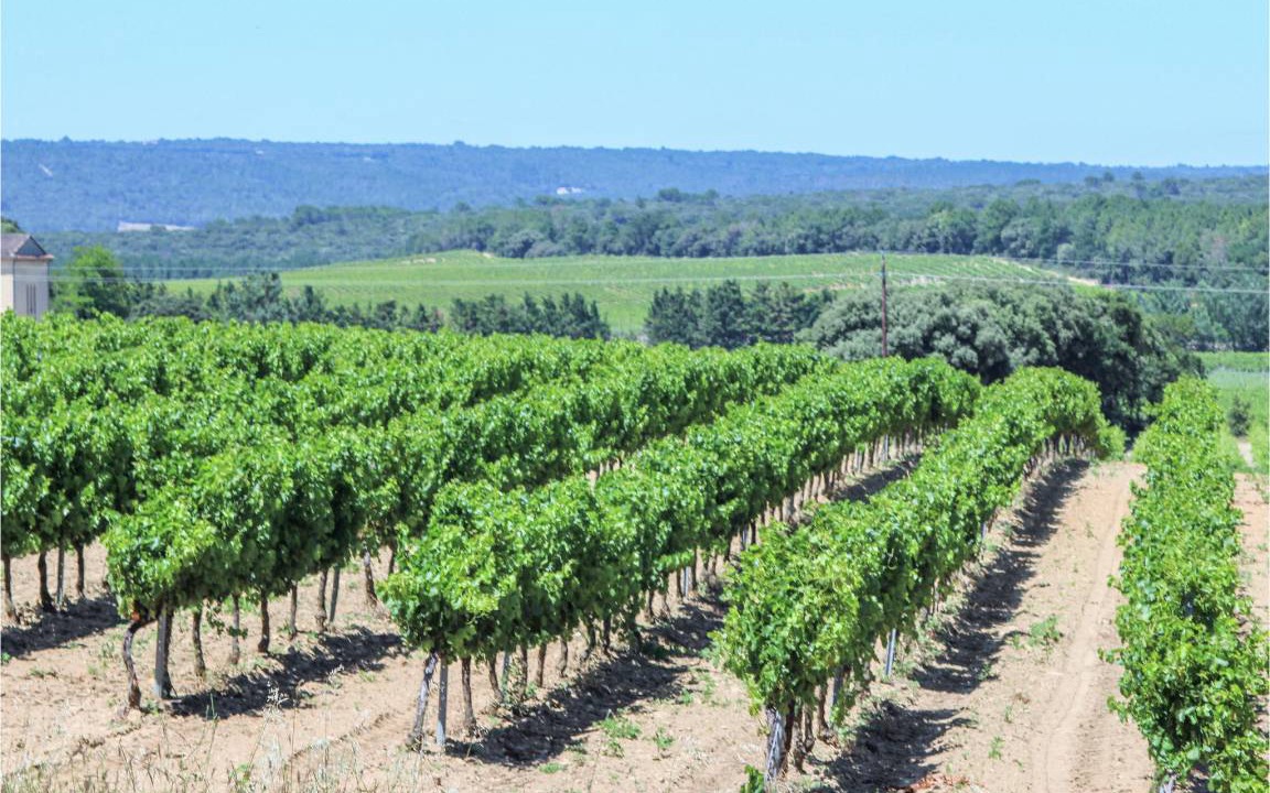 Photo of Outdoor in Villes-sur-Auzon
