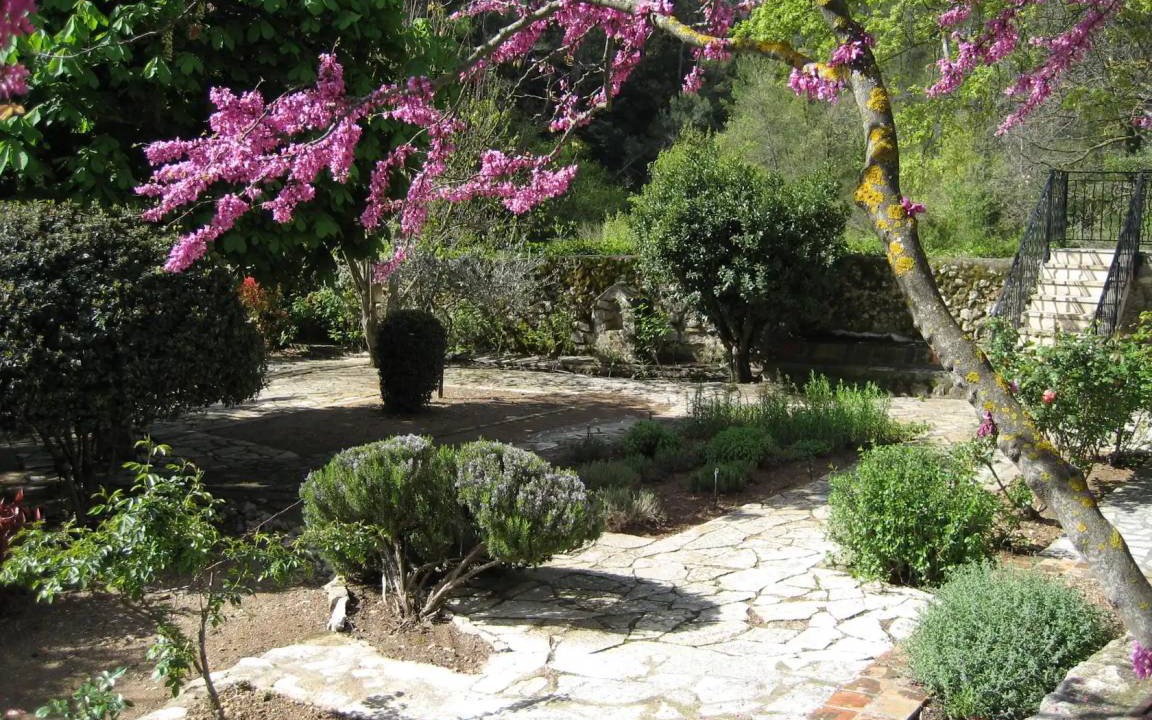 Photo of Patio Balcony in Callas