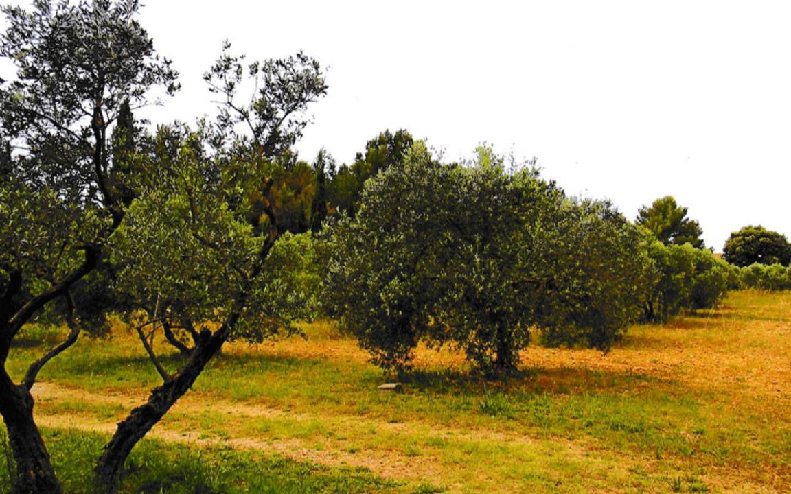 Photo of Others in Lancon-Provence
