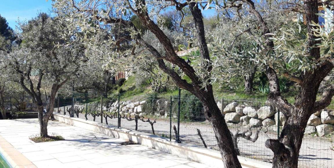 Photo of Others in Mirabel-aux-Baronnies
