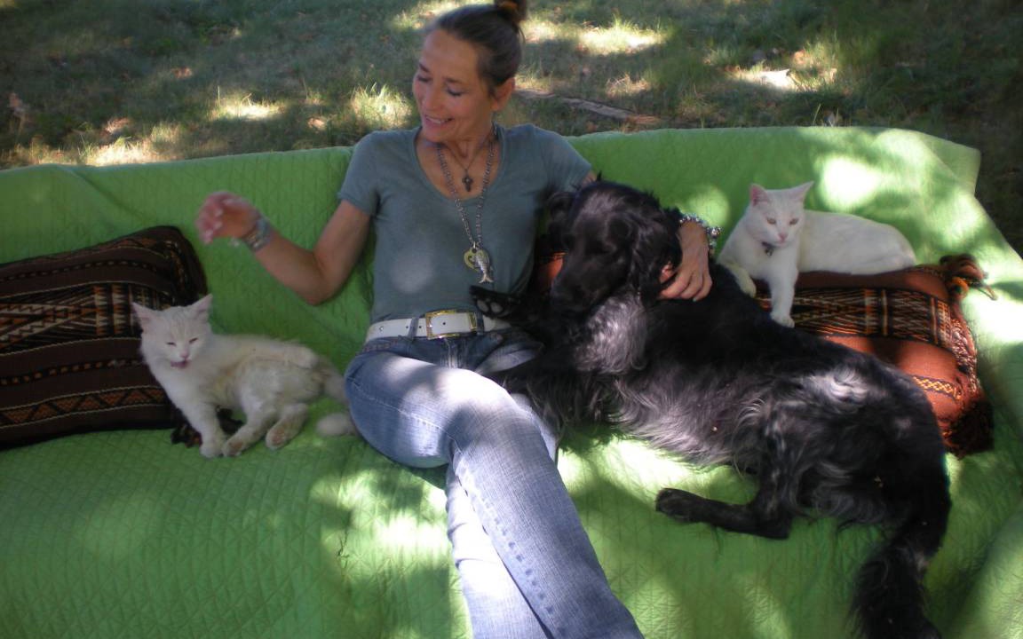 Photo of Others in Brignoles