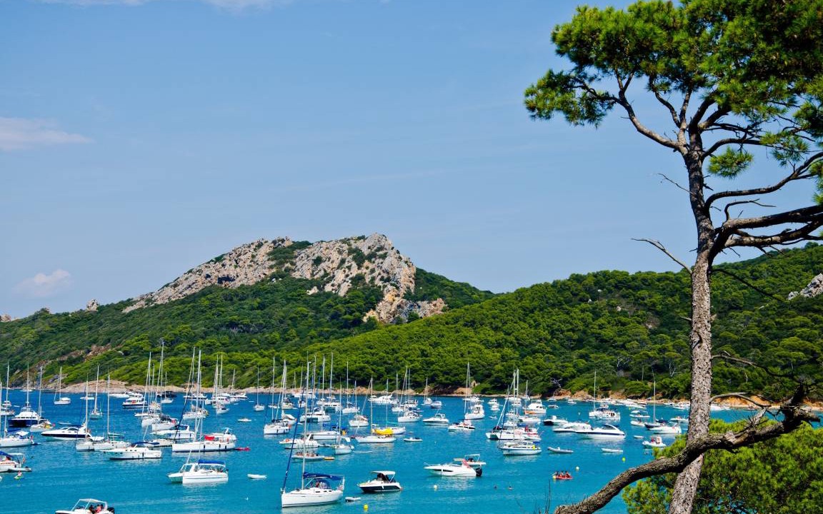Photo of Others in Saint-Mandrier-sur-Mer
