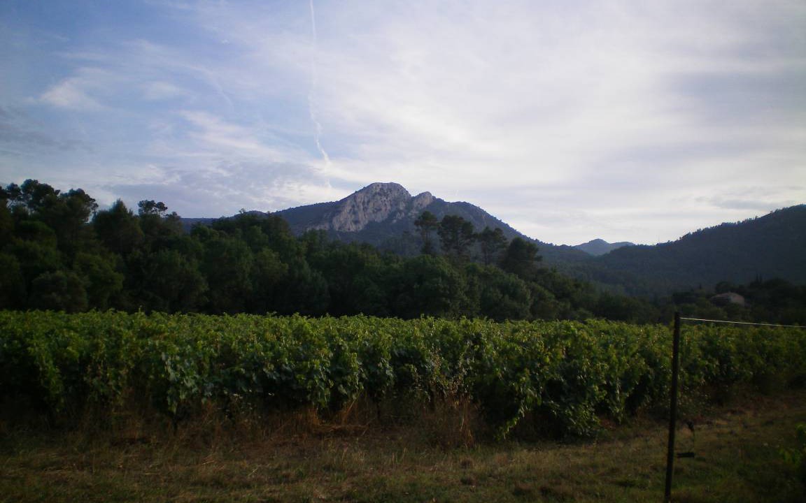 Photo of Others in Brignoles