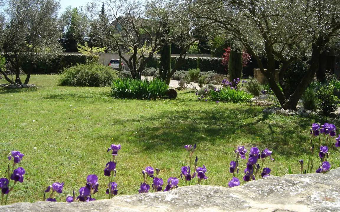 Photo of Others in Carpentras