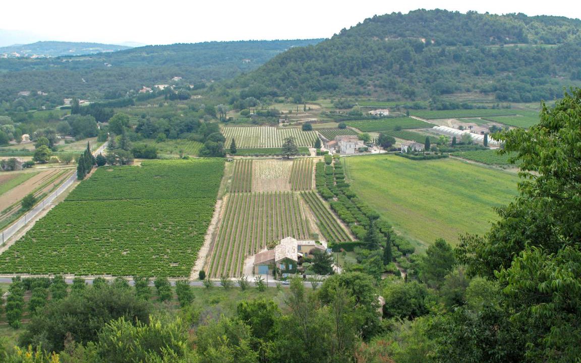 Photo of Others in Menerbes