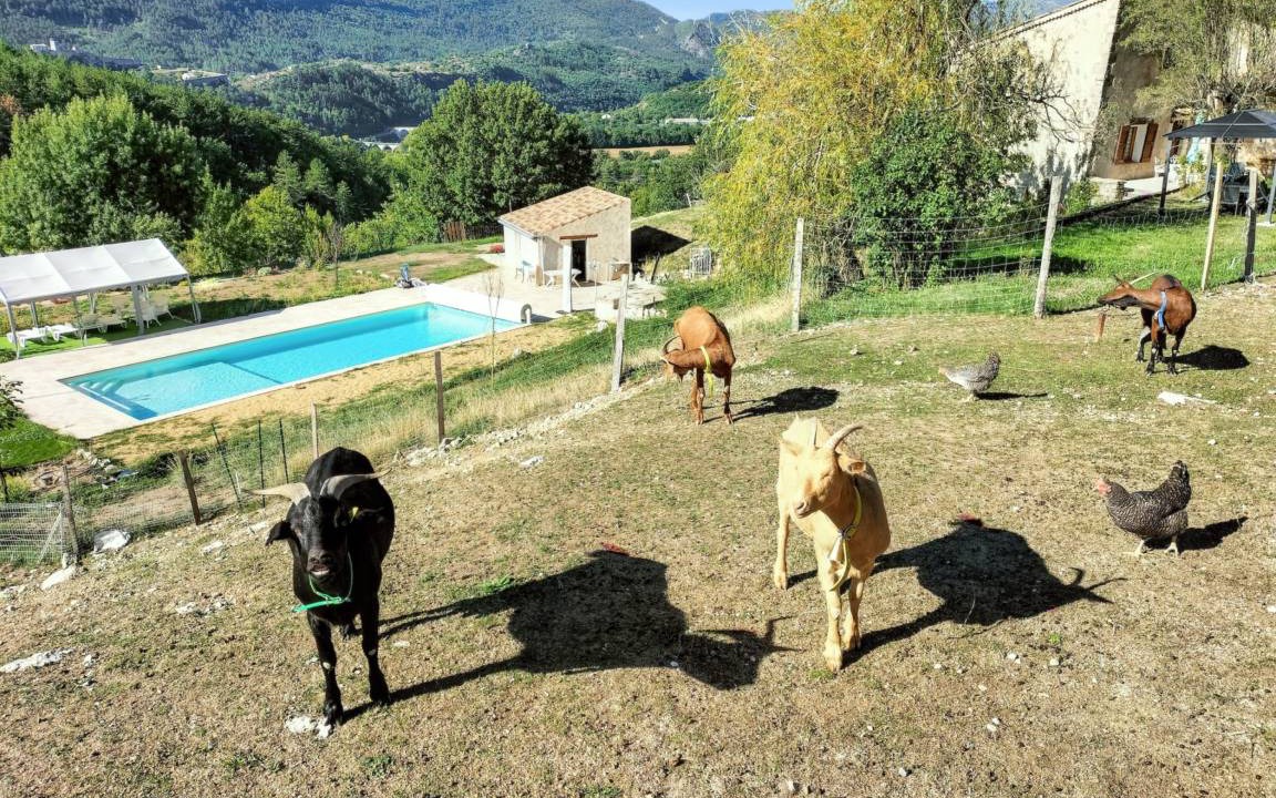 Photo of Others in Sisteron