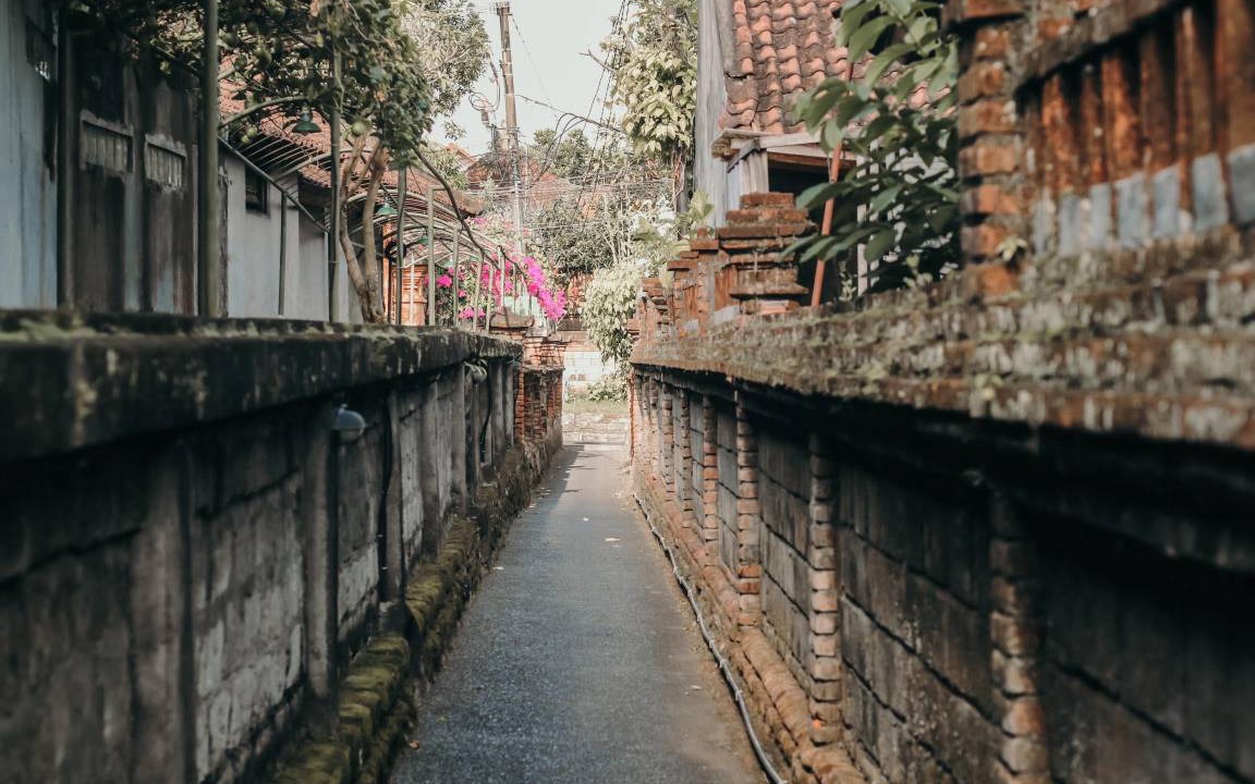 Photo of Others in Ubud City-Centre