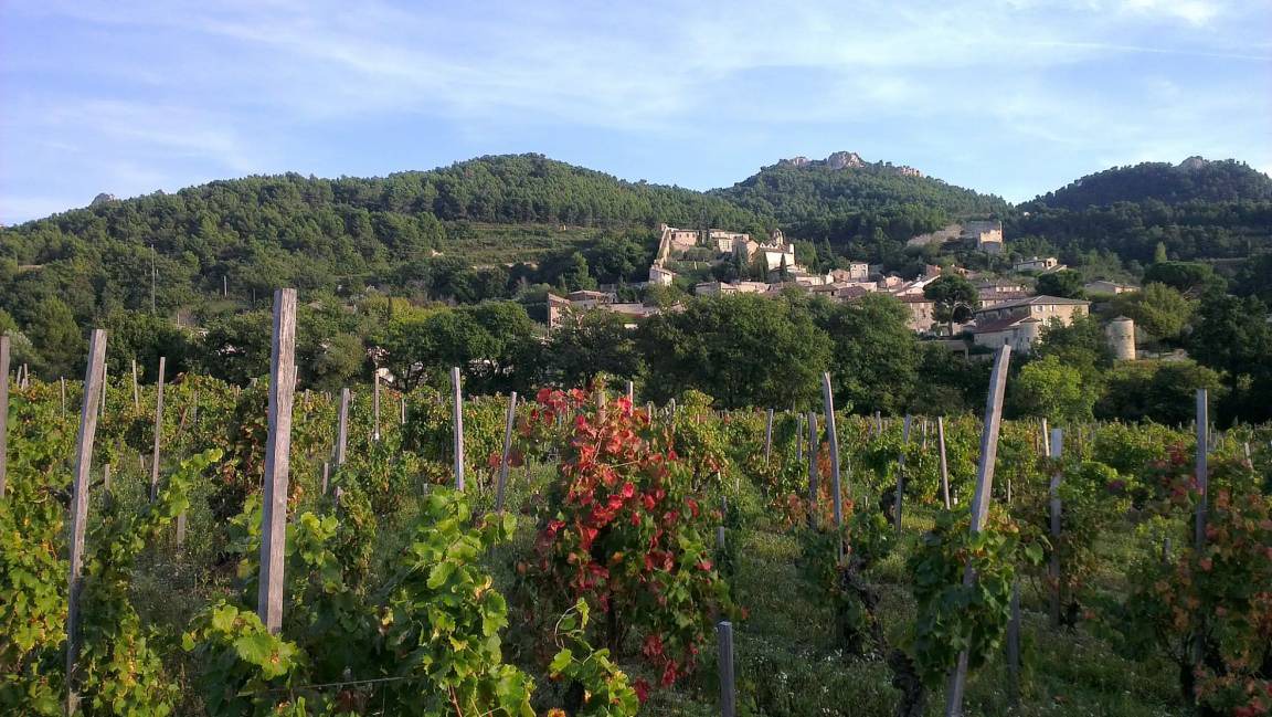 Photo of Others in Gigondas