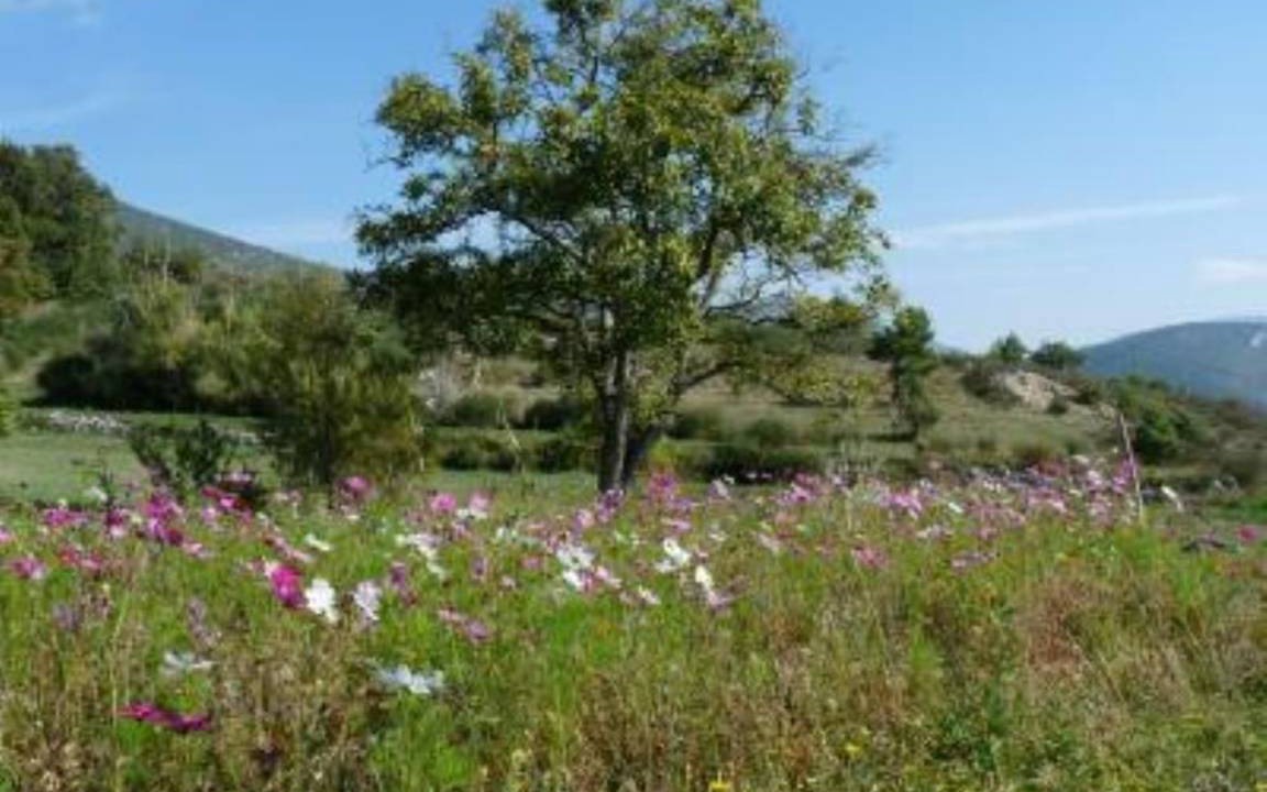 Photo of Outdoor in Eygaliers