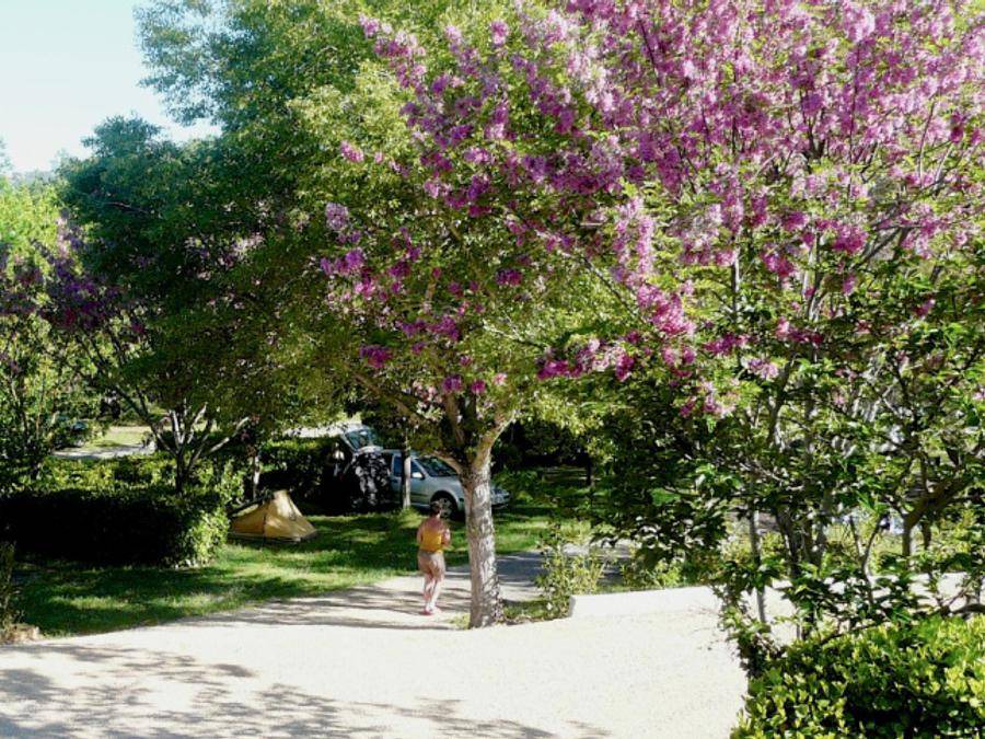 Photo of Outdoor in Moustiers-Sainte-Marie