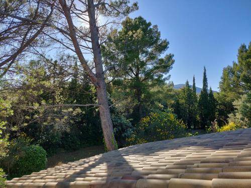 Photo of Others in Lourmarin