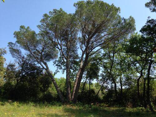 Photo of Outdoor in Vers-Pont-du-Gard