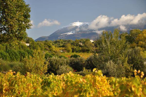 Photo of Others in Puymeras