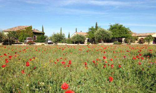 Photo of Others in Sainte-Croix-du-Verdon