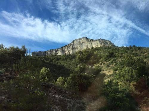 Photo of Others in Plan-d'Aups-Sainte-Baume