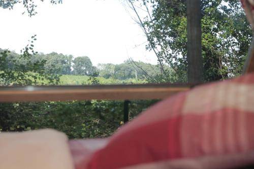Photo of Others in Mondragon