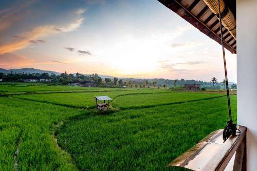 Photo of Others in Medewi