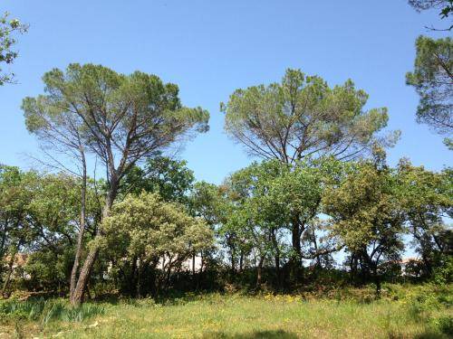 Photo of Others in Vers-Pont-du-Gard