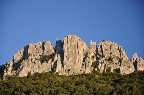 Photo of Others in Puymeras