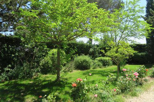 Photo of Others in Lourmarin