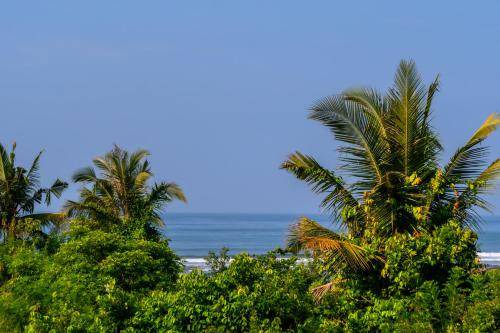 Photo of Outdoor in Medewi