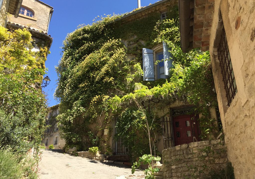 Photo of Buildings in Saignon