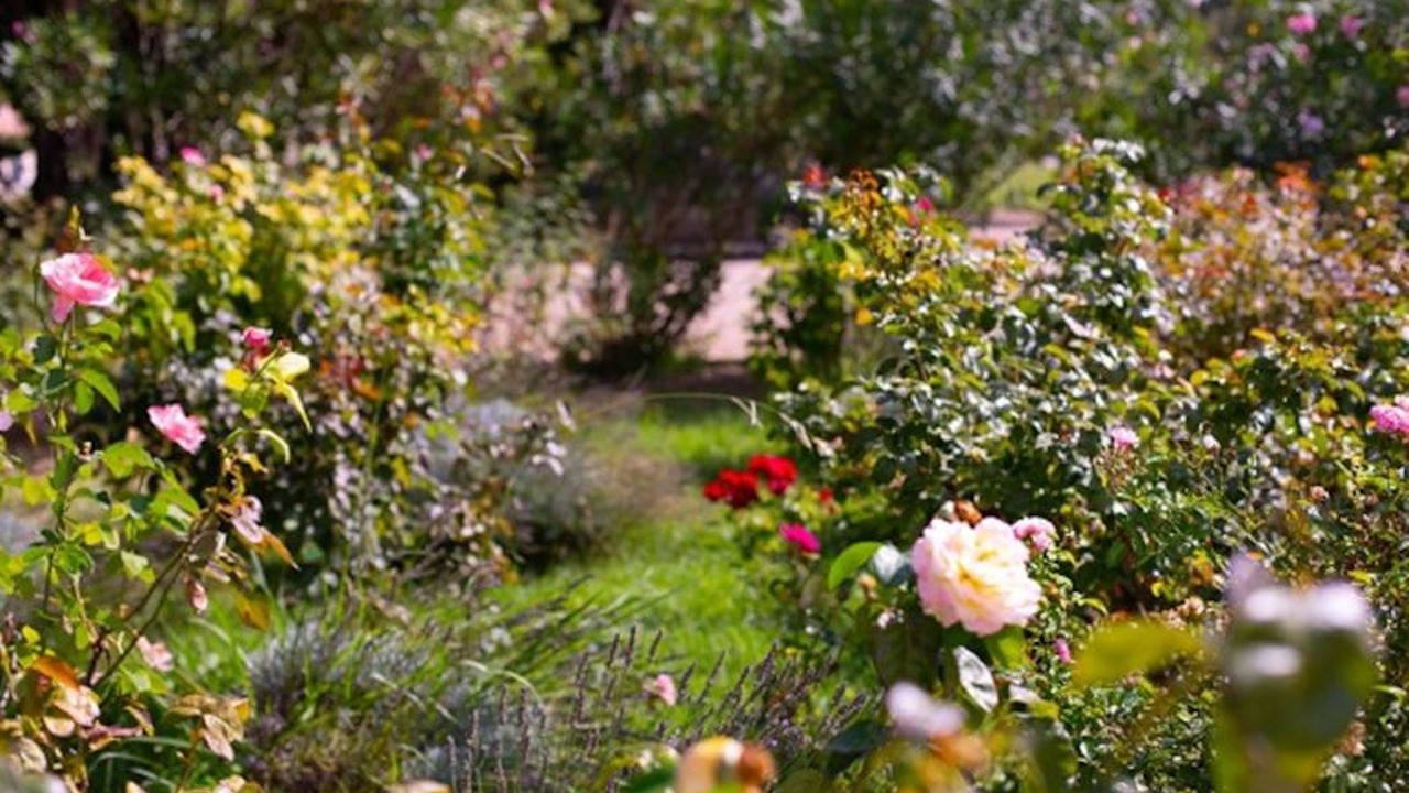 Photo of Outdoor in Paluds de Noves
