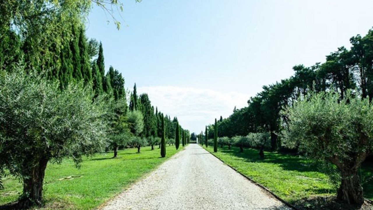 Photo of Outdoor in Paluds de Noves