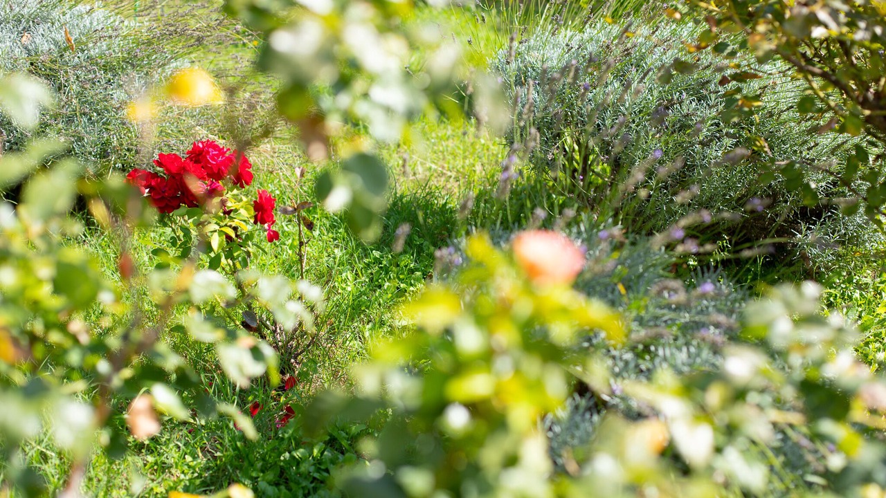 Photo of Outdoor in Paluds de Noves