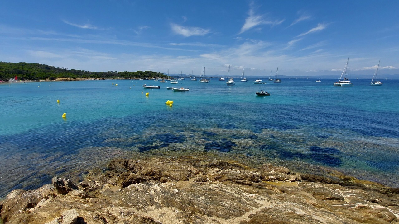 Photo of Others in La Valette-du-Var