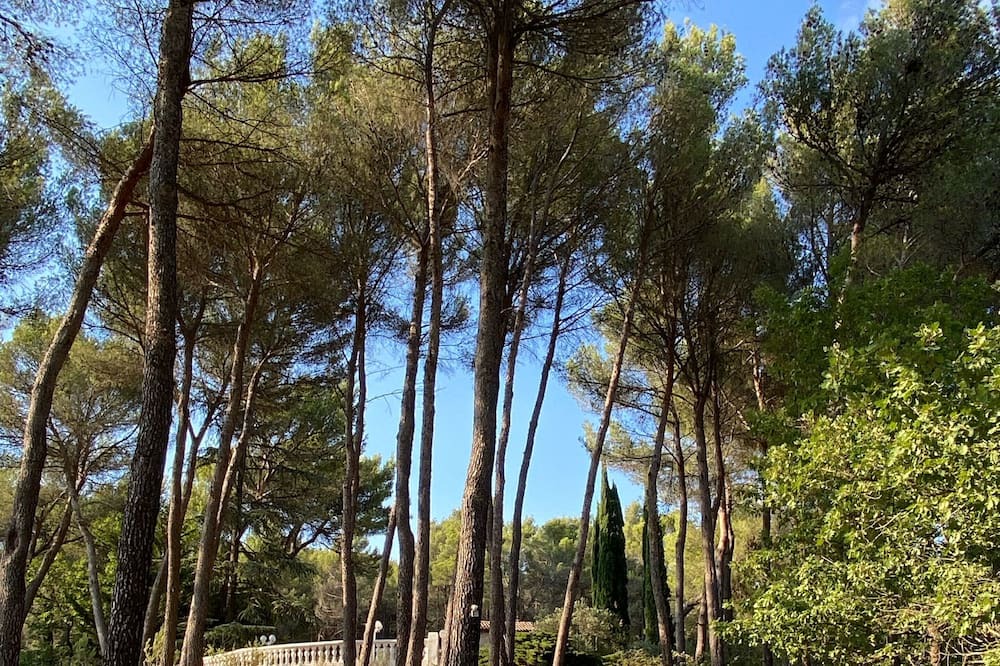 Photo of Outdoor in Gargas