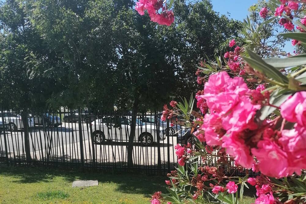 Photo of Outdoor in Eguilles