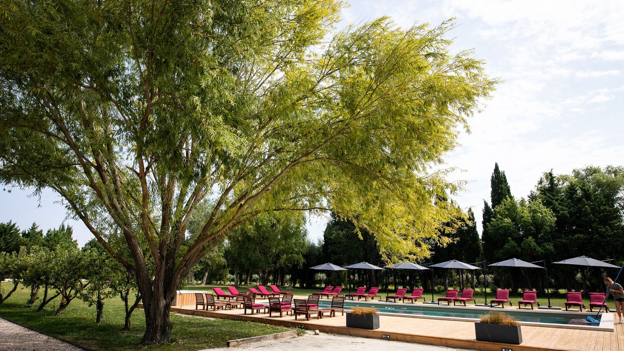 Photo of Outdoor in Paluds de Noves