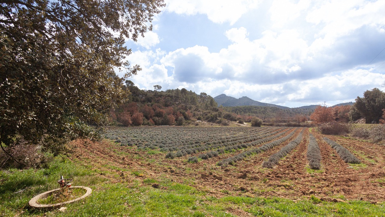 Photo of Others in Peyrolles-en-Provence