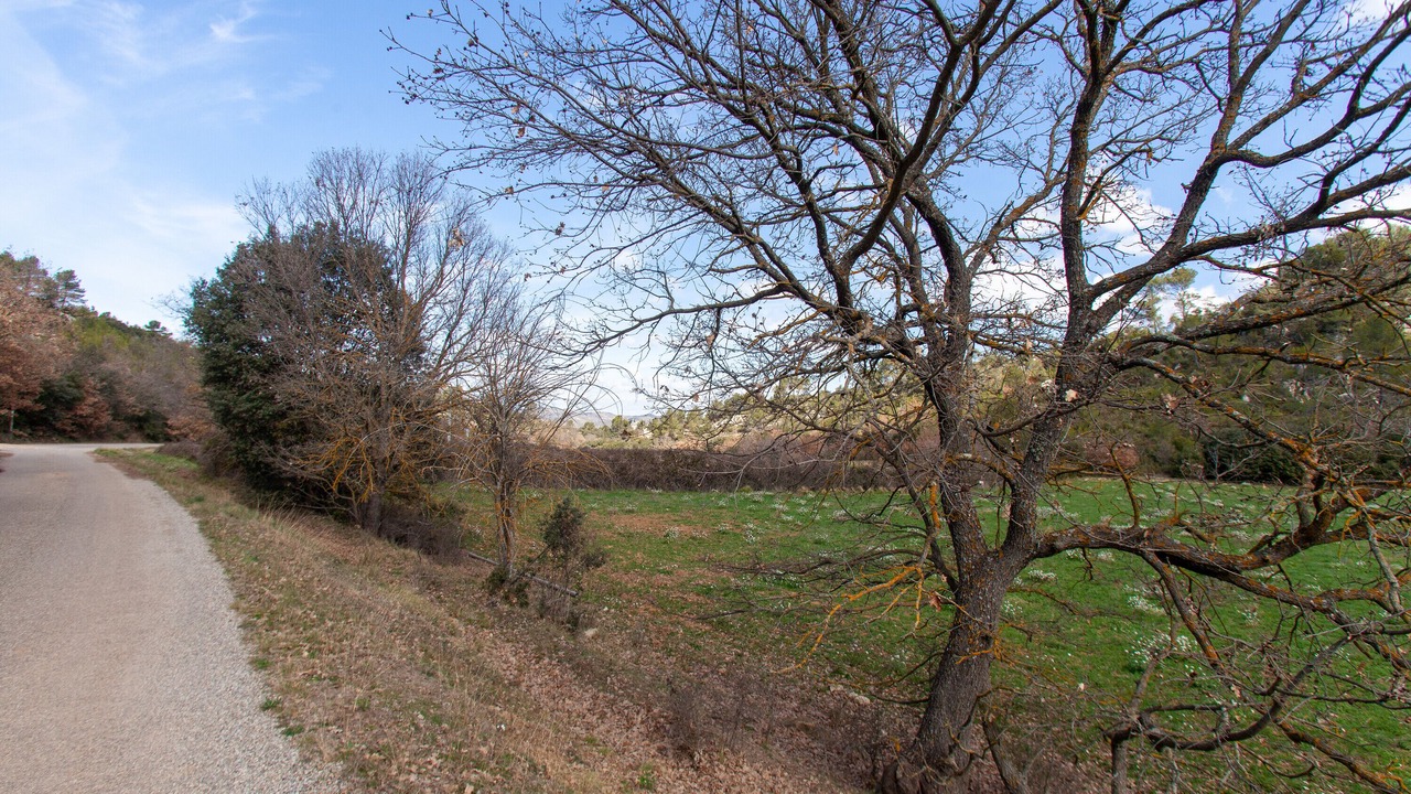 Photo of Others in Peyrolles-en-Provence
