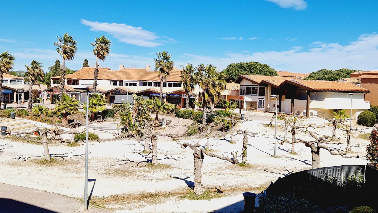 Photo of Outdoor in Miramar