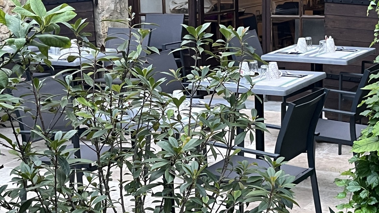 Photo of Outdoor in Orange