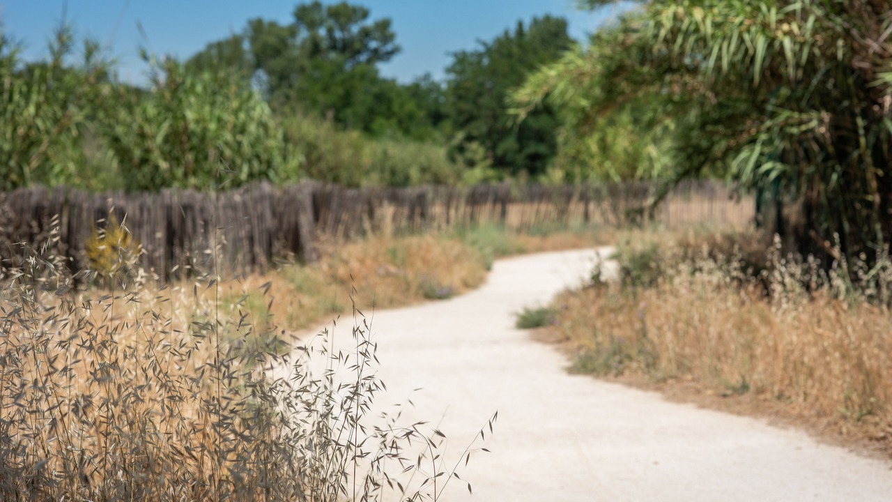 Photo of Outdoor in Remoulins