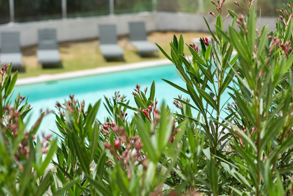 Photo of Outdoor in Remoulins