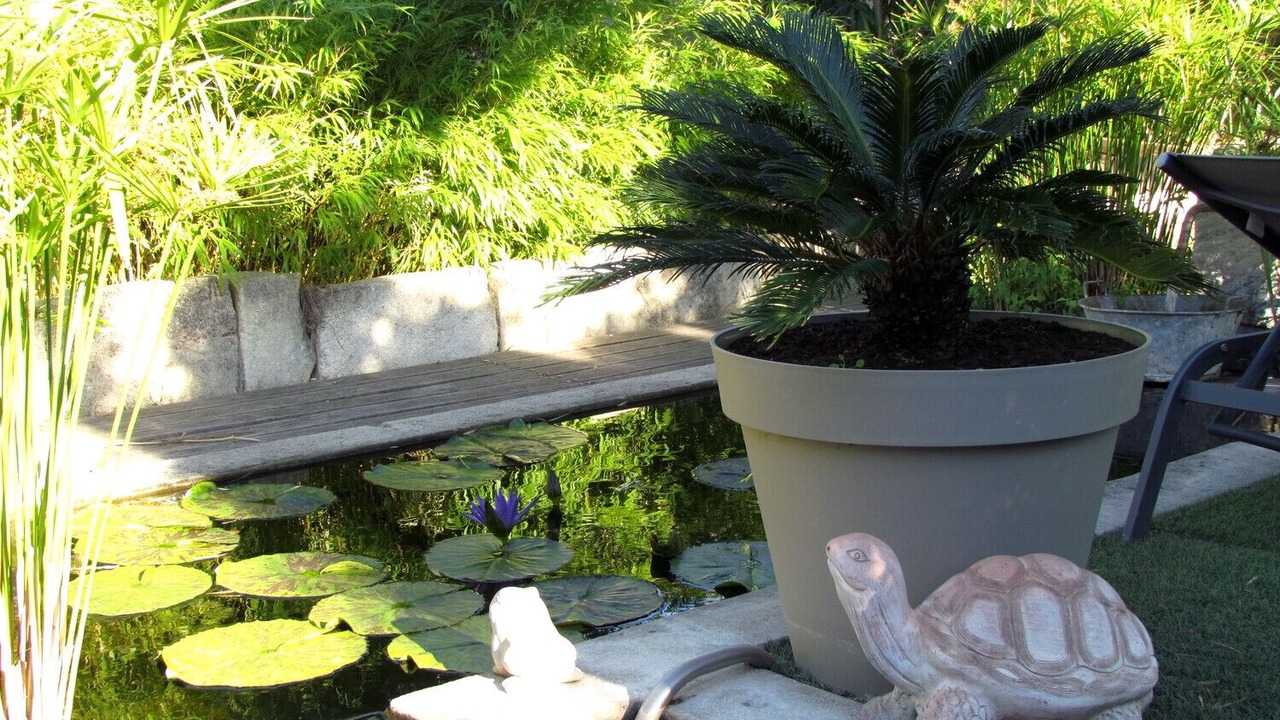 Photo of Outdoor in Chateaurenard