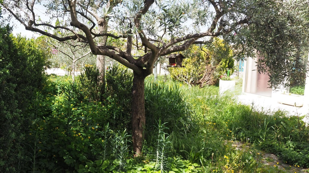 Photo of Outdoor in Villes-sur-Auzon