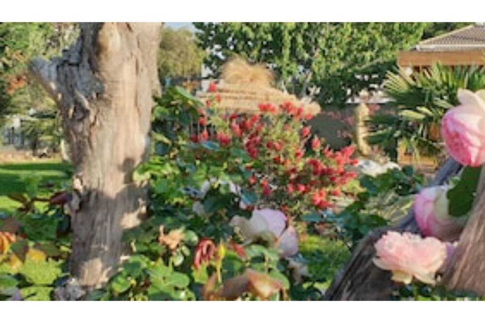 Photo of Outdoor in Bedarrides