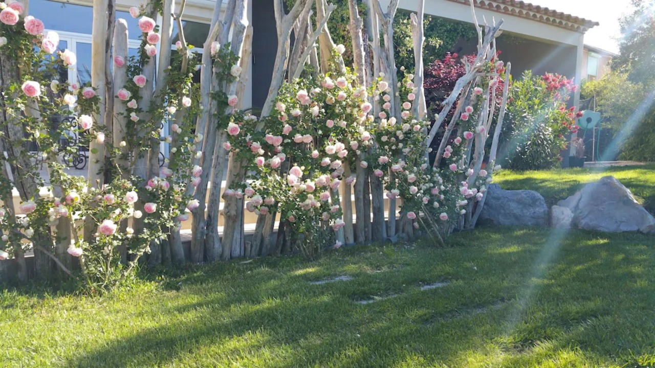 Photo of Outdoor in Bedarrides