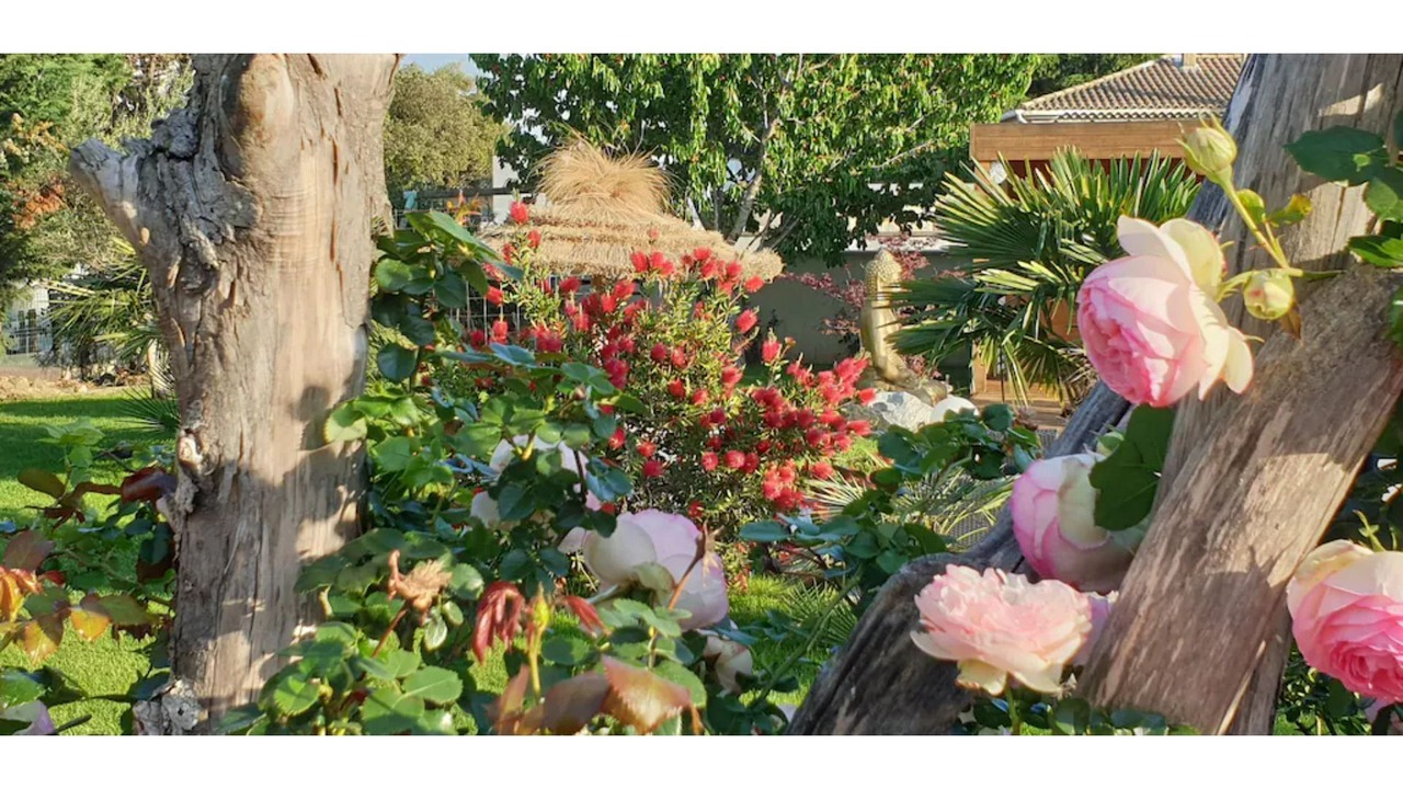 Photo of Outdoor in Bedarrides